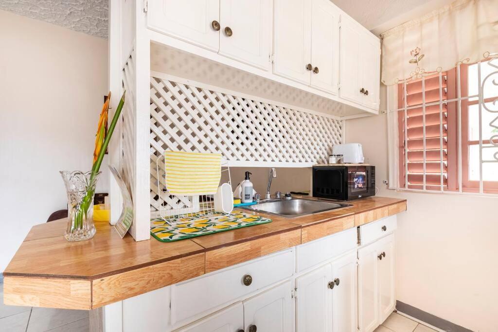 Shaw Park Gem Apt 12A Ocho Rios Exterior foto
