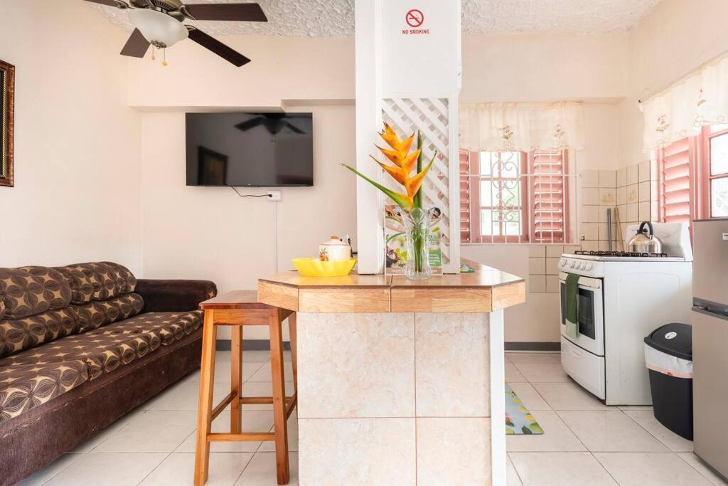 Shaw Park Gem Apt 12A Ocho Rios Exterior foto